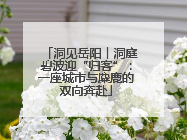 洞见岳阳丨洞庭碧波迎“归客”：一座城市与麋鹿的双向奔赴